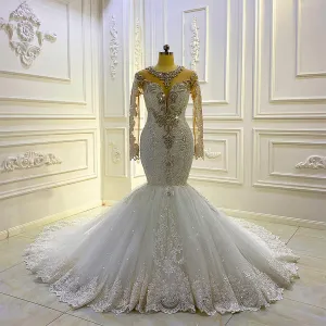 AM1032 Long Sleeve Lace Applique Crystal beaded  Mermaid Wedding Dress