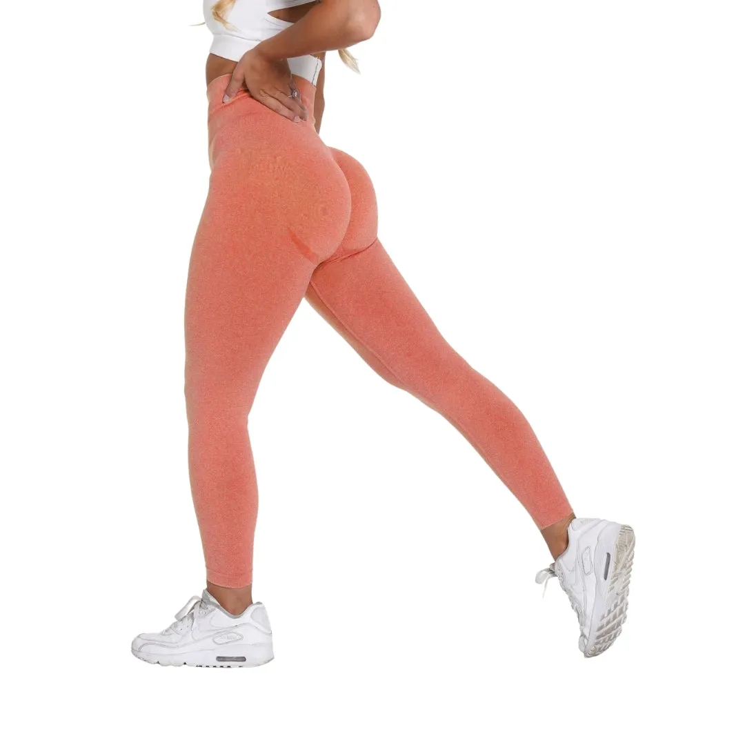 Anissa Contour Workout Leggings