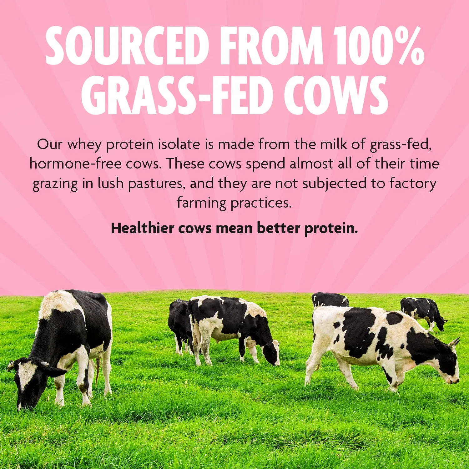 Grass-Fed Whey Protein Isolate - Pure, Natural, High Protein