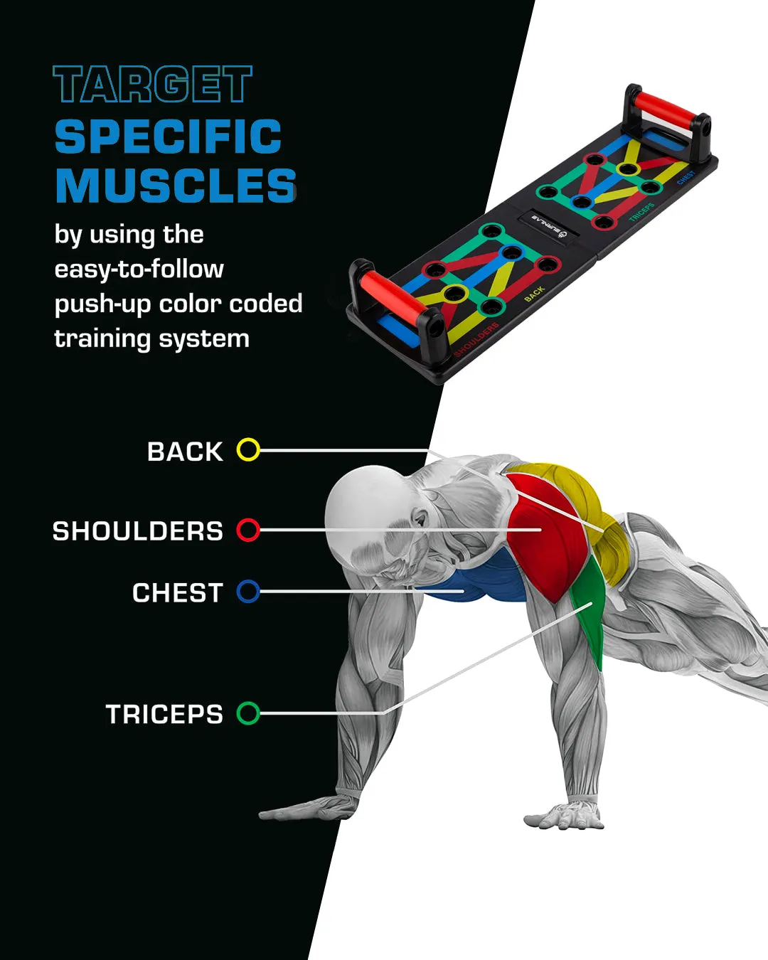 Push Up Board